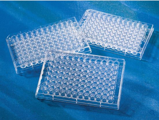 Corning® CellBIND® 96-well Clear Flat Bottom Polystyrene Microplate, with Lid, Sterile (3300)