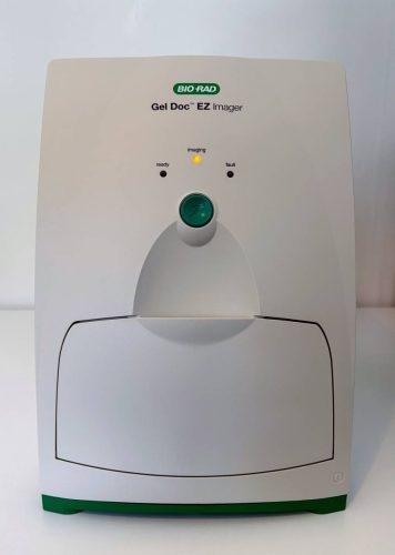 Imageur Bio-Rad Gel Doc EZ (plateau UV, plateau Stainfree, plateau blanc)